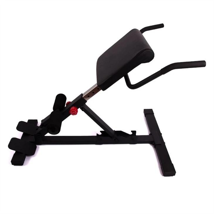 Roman Chair Sit Up Bench