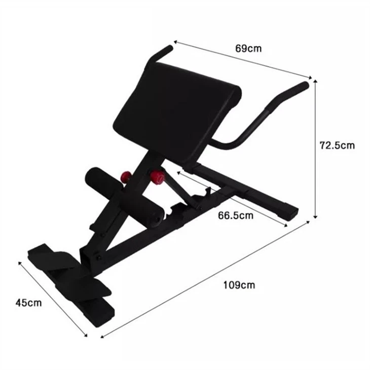 Roman Chair Sit Up Bench